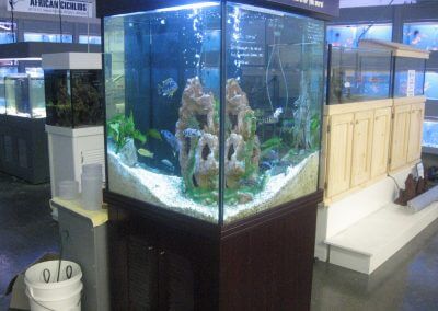 Water Life Aquarium