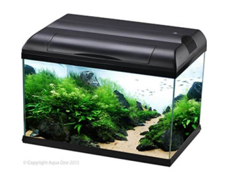 Small Aquarium - EcoStyle Aquariums For Sale | CALL Us Now