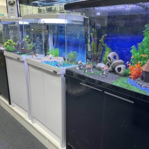 Aquarium shop near by me hotsell