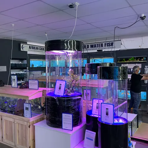 Best Aquarium Shop Western Suburbs Melbourne