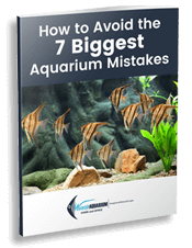 Aquarium mistakes ebook